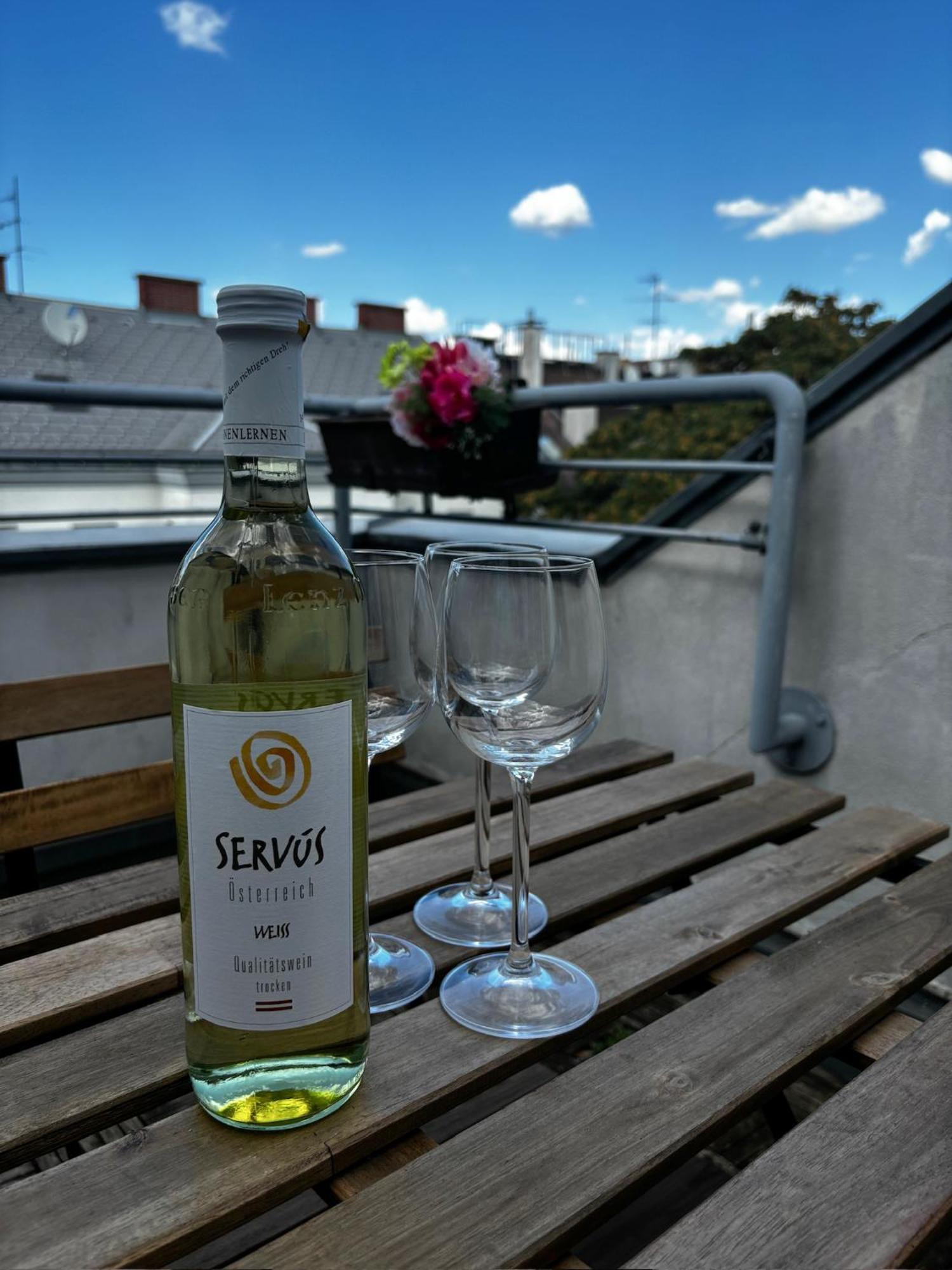 Sonniges Mit Terrasse, 15min Ins Zentrum * Viena